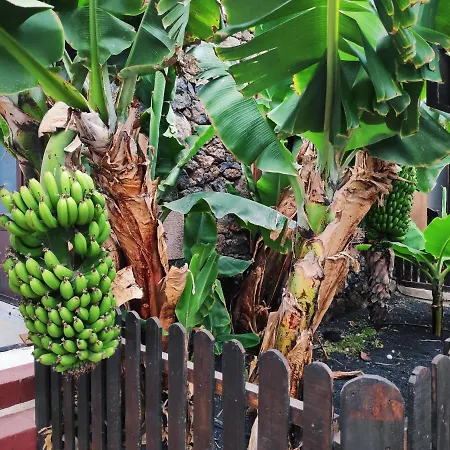 Lucia - El Mirador * Mácher