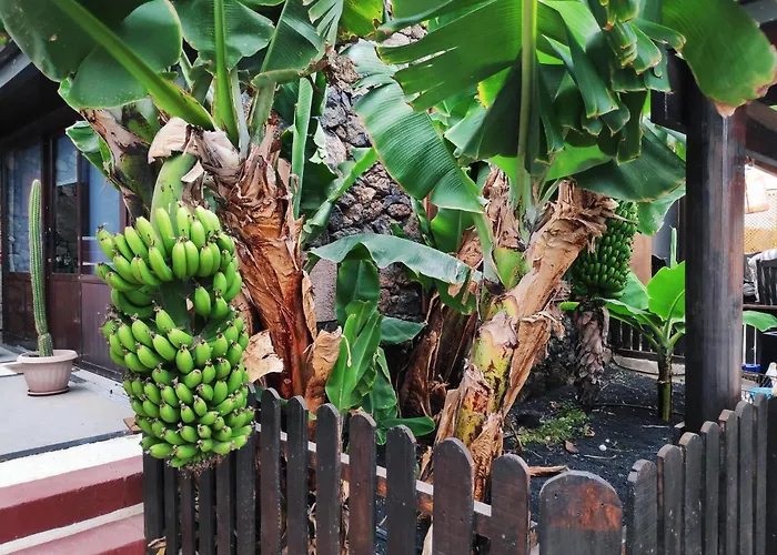 Lucia - El Mirador * Macher